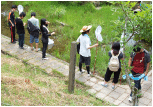 夏の学校