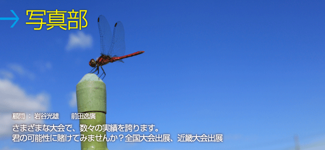 写真部